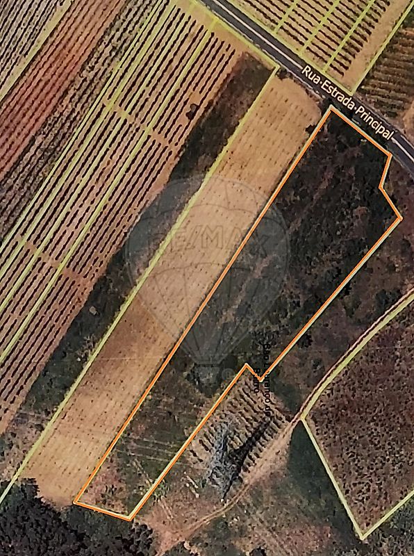 Terreno  à venda em Anadia