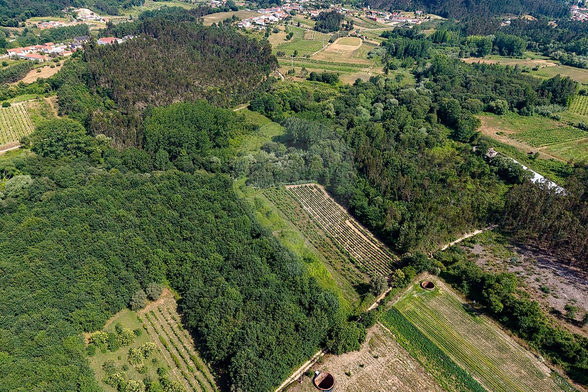 Terreno - Amoreira da Gândara, Paredes do Bairro e Ancas, Anadia, Aveiro