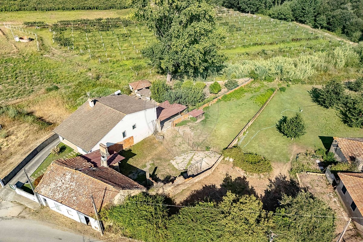 Moradia T1 à venda em Amoreira da Gândara, Paredes do Bairro e Ancas, Anadia — foto 15