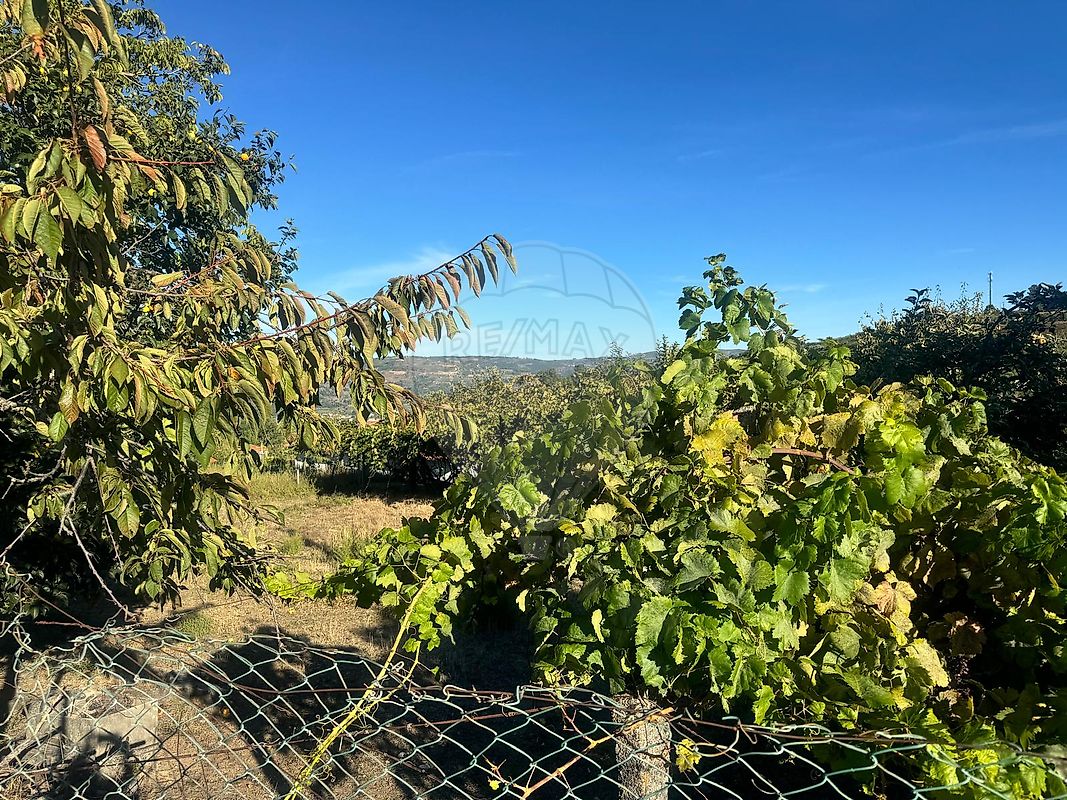 Land for sale in Lamego, Portugal — €75,000