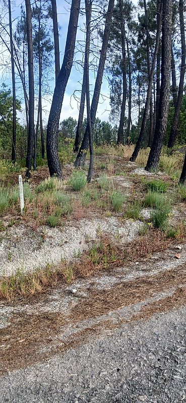 Terreno para venda