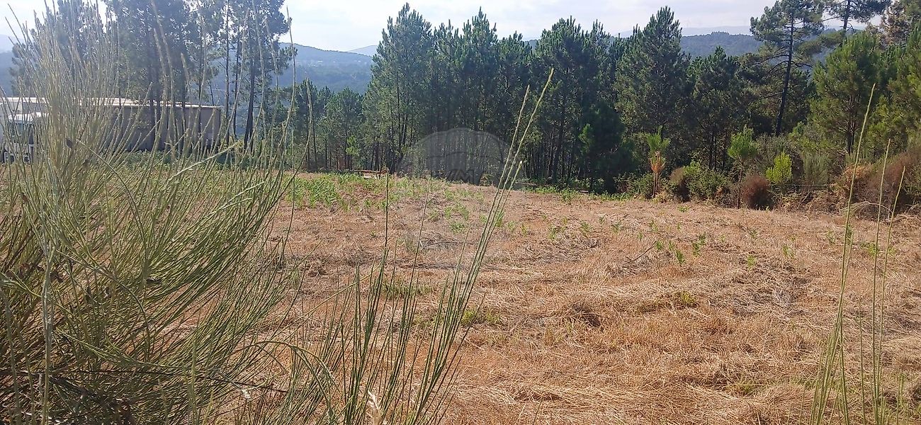 Terreno para venda