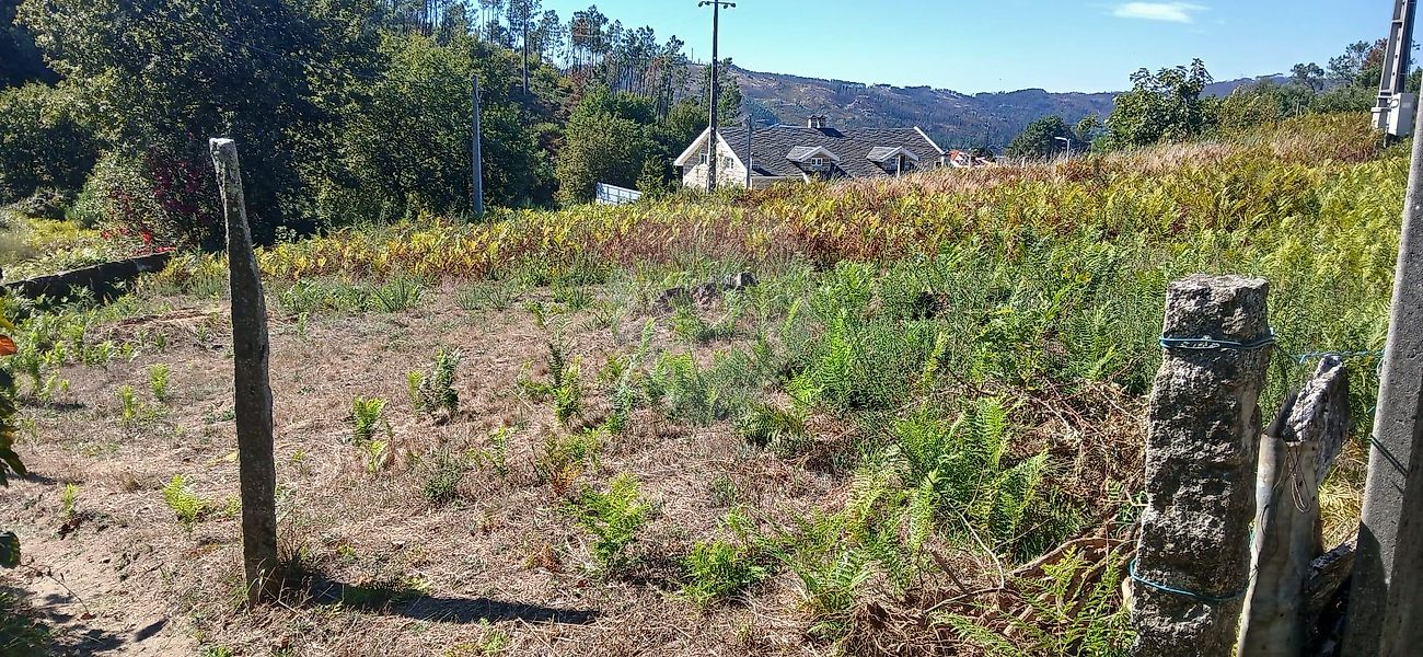 Terreno para venda