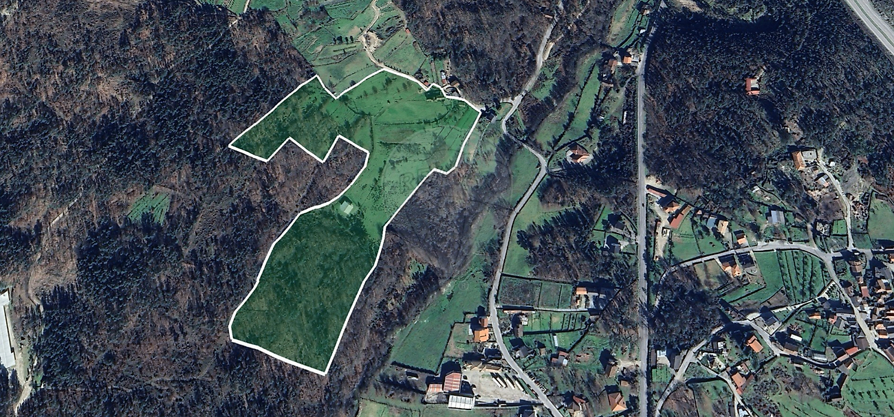 Quinta - Mamouros, Alva e Ribolhos, Castro Daire, Viseu