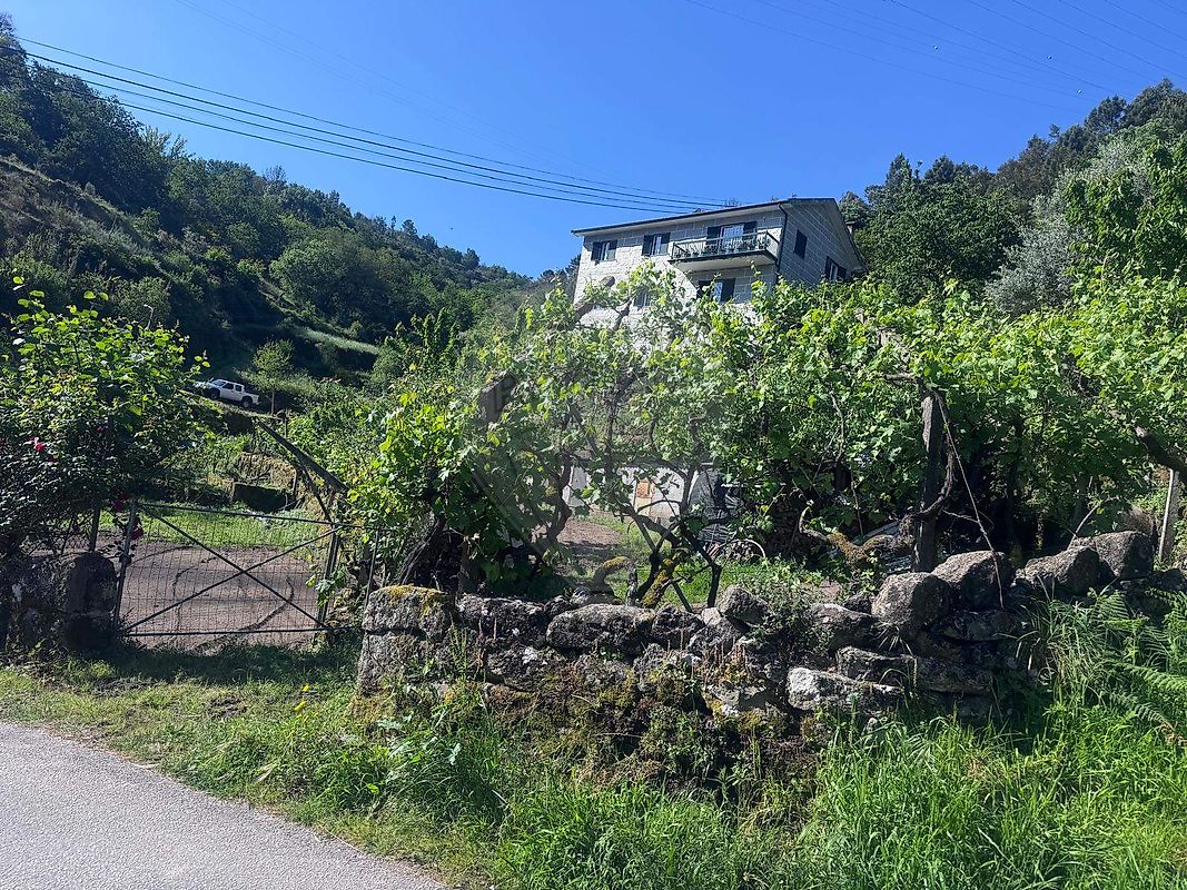 Terreno - Oliveira, Cinfães, Viseu