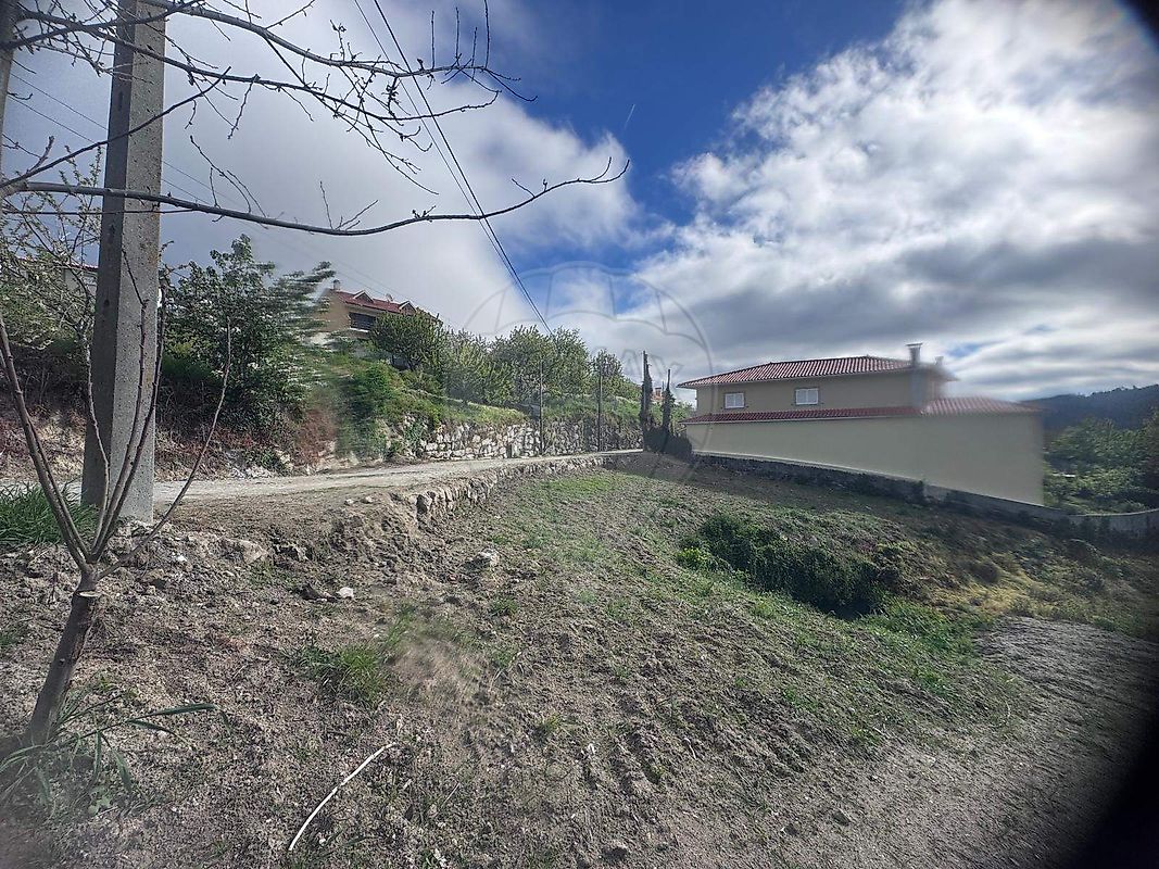 Terreno - Penude, Lamego, Viseu