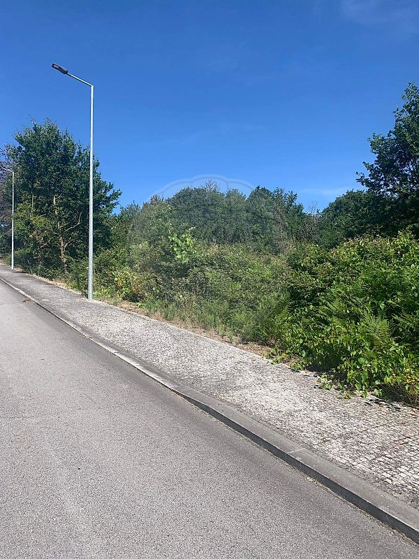 Terreno - Mamouros, Alva e Ribolhos, Castro Daire, Viseu