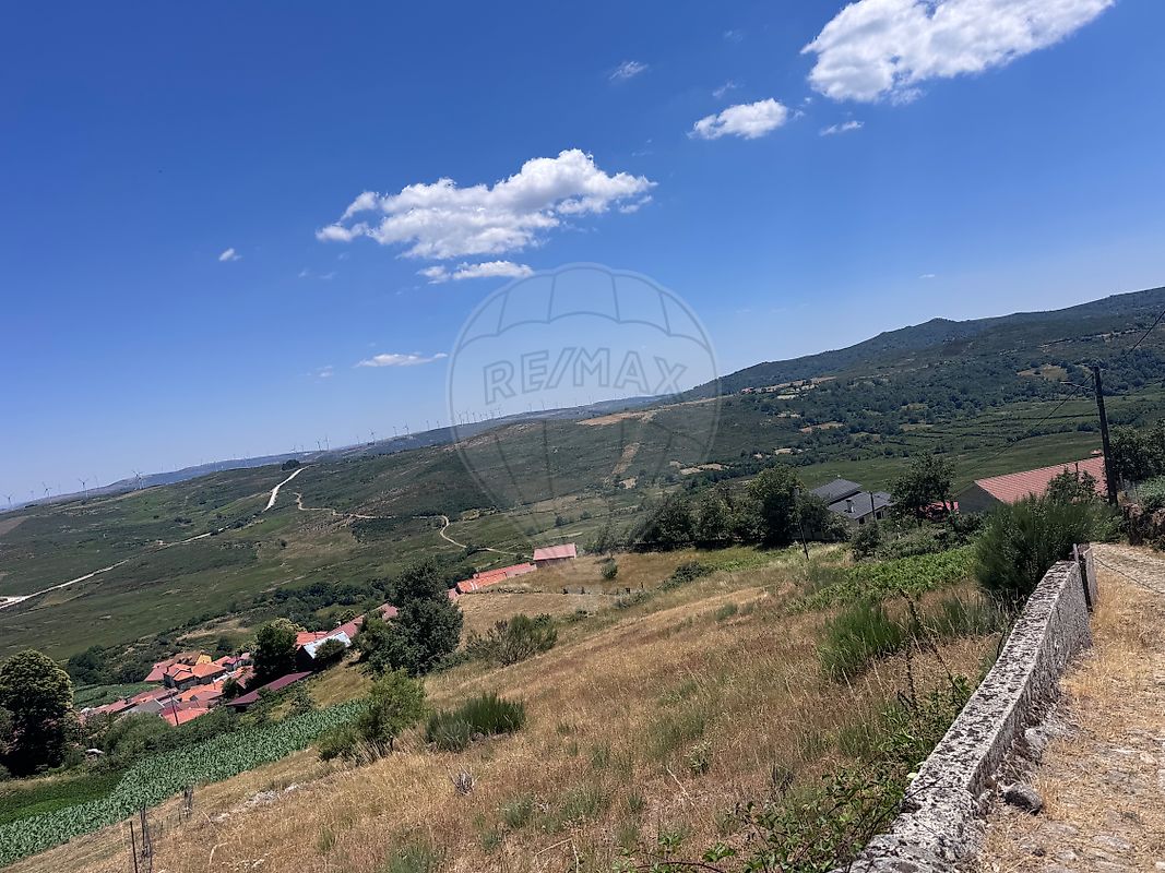 Terreno - Gosende, Castro Daire, Viseu