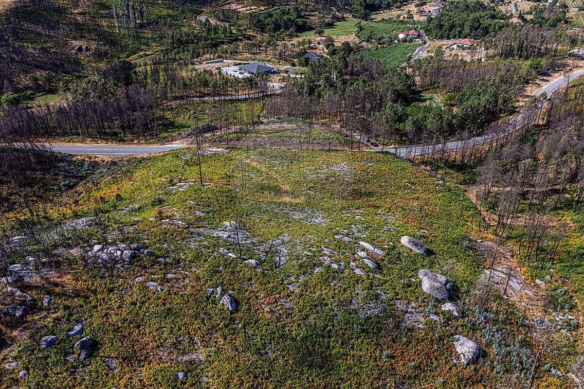Terreno - Mões, Castro Daire, Viseu
