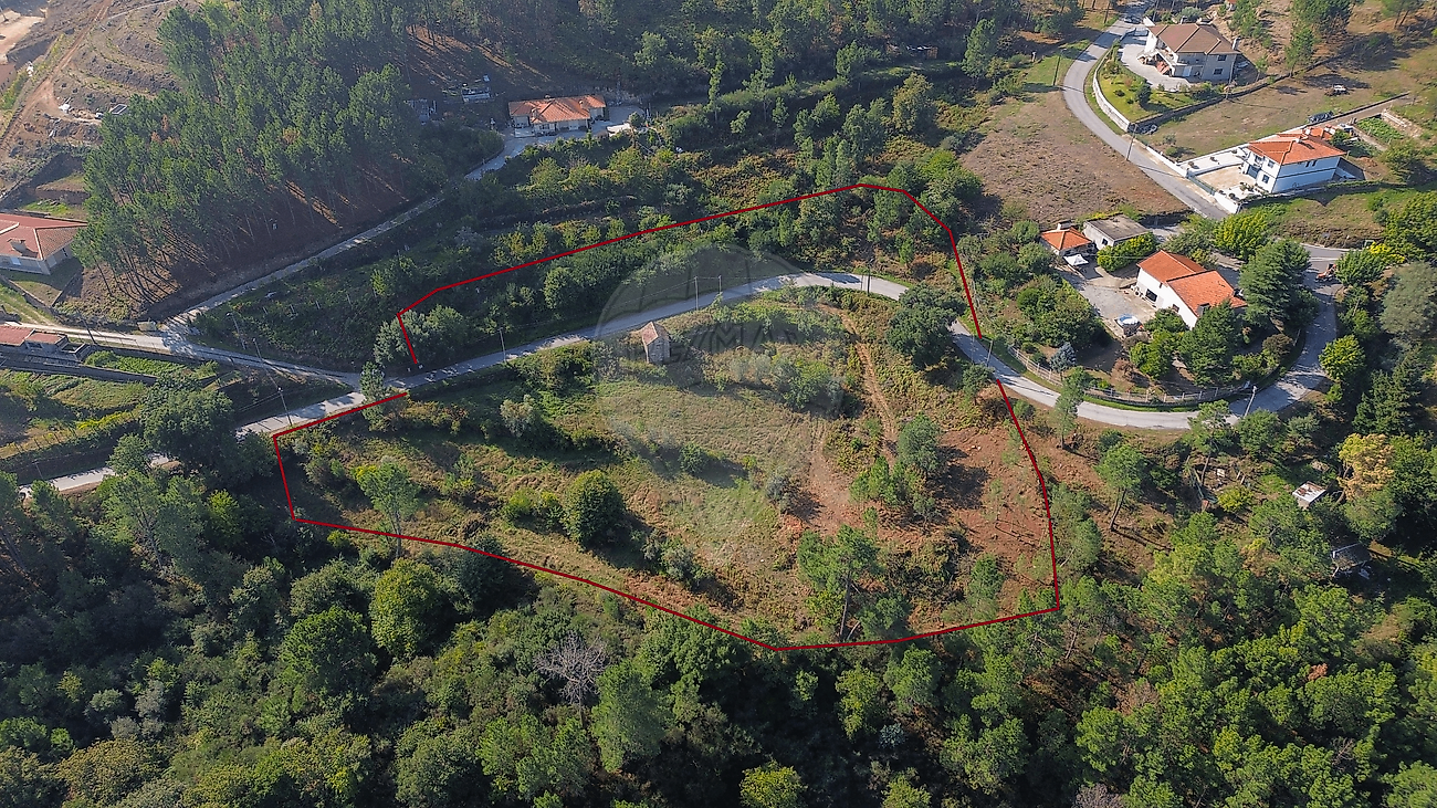 Terreno - Oliveira, Cinfães, Viseu