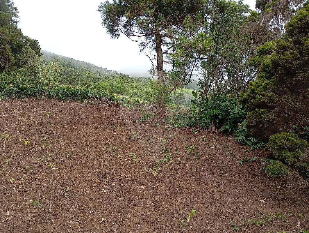 Moradia T3 à venda em Rosais, Velas — foto 17