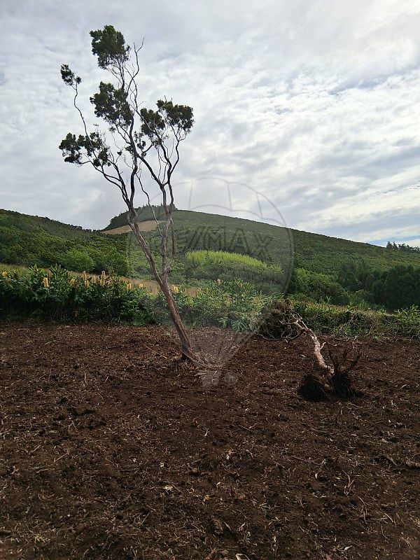 Moradia T3 à venda em Rosais, Velas — foto 18