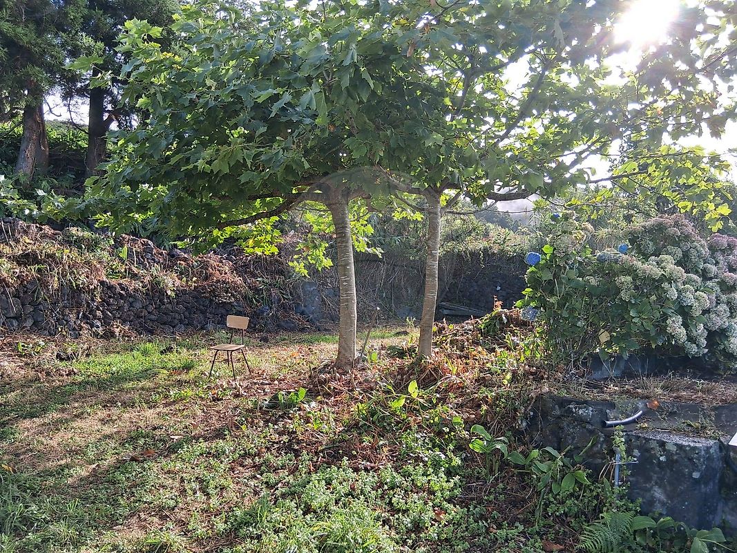 Moradia T3 à venda em Rosais, Velas — foto 19