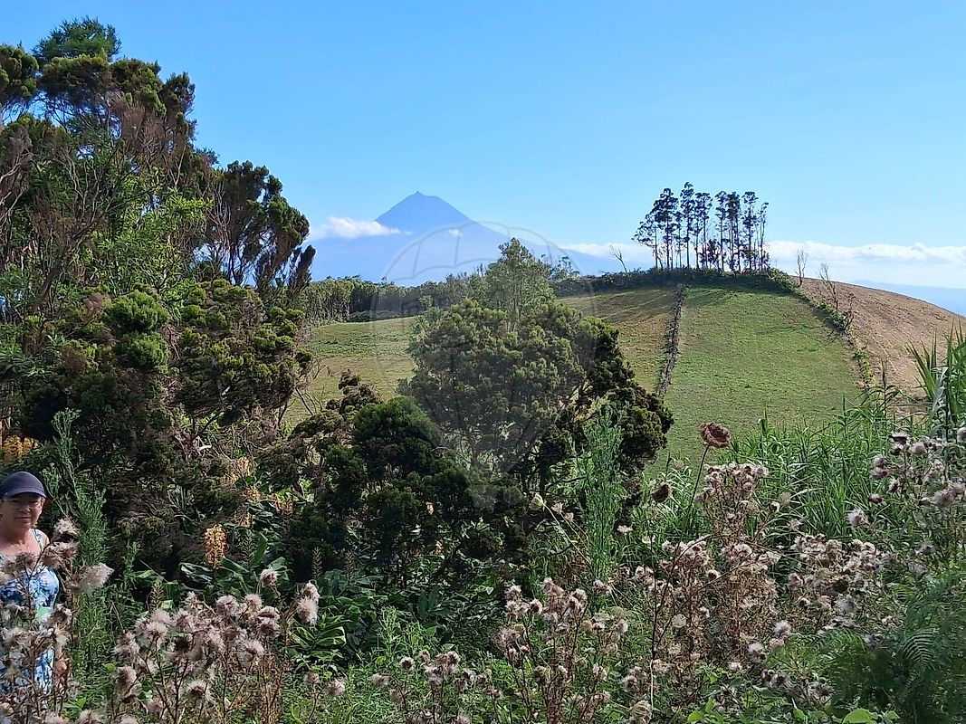 Moradia T3 à venda em Rosais, Velas — foto 20