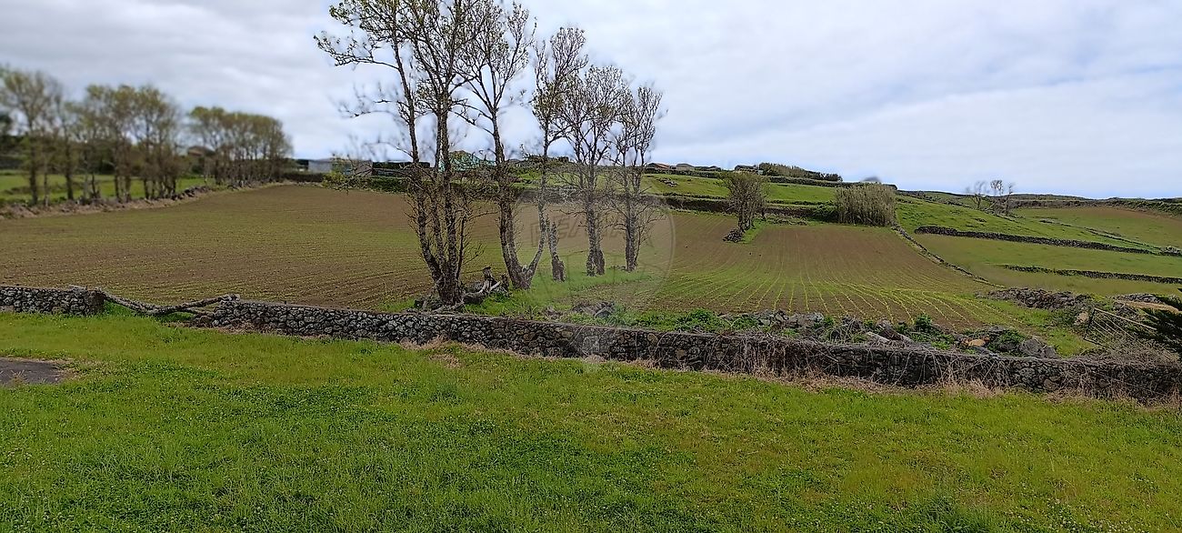 Moradia T6+ à venda em Guadalupe (R.A.Açores), Santa Cruz da Graciosa — foto 16