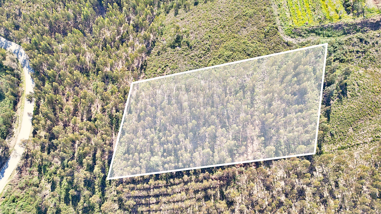 Terreno  para venda