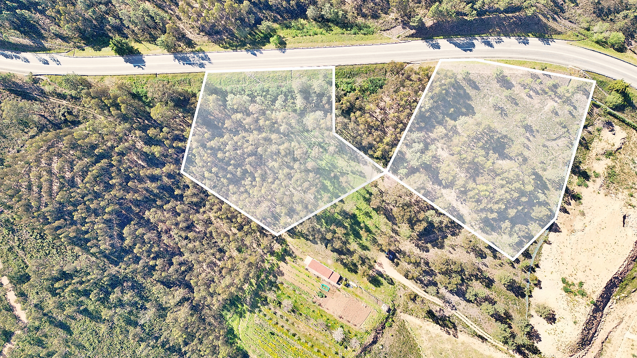 Terreno  para venda