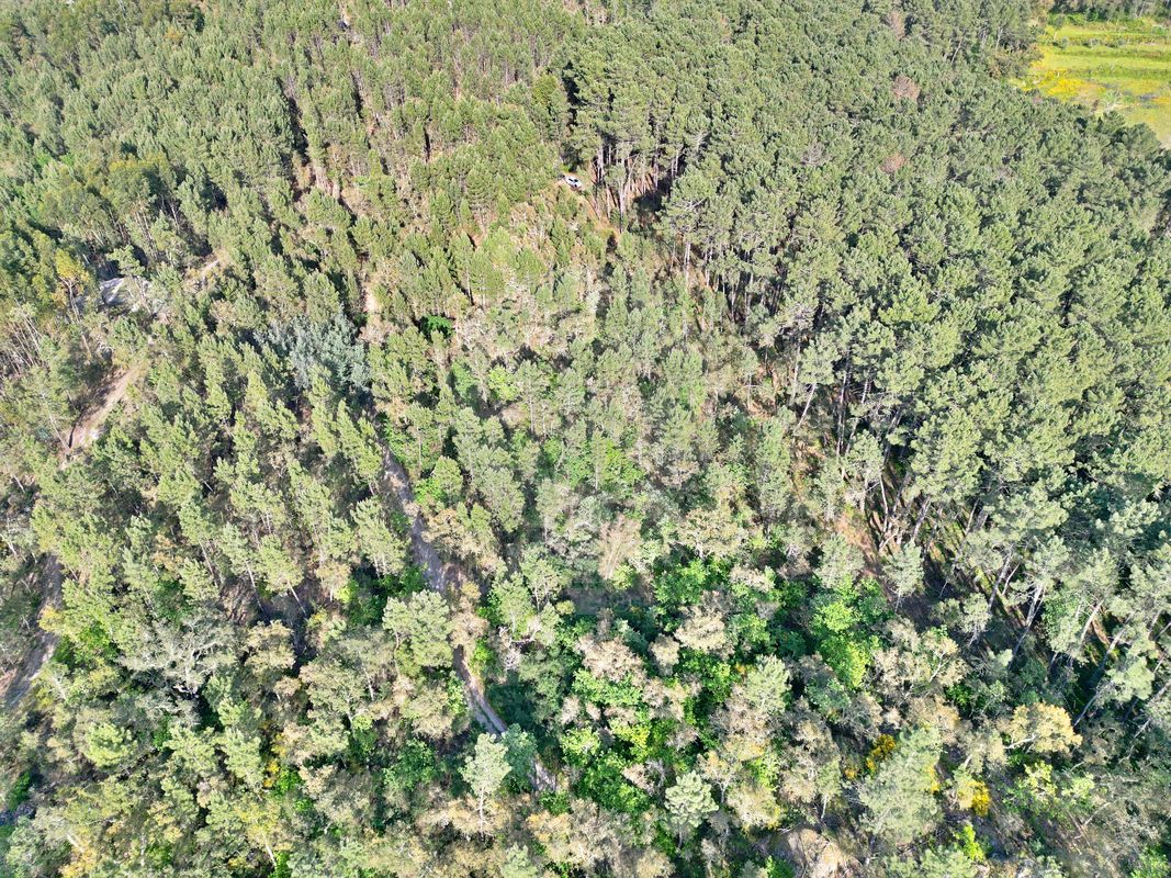Terreno para venda