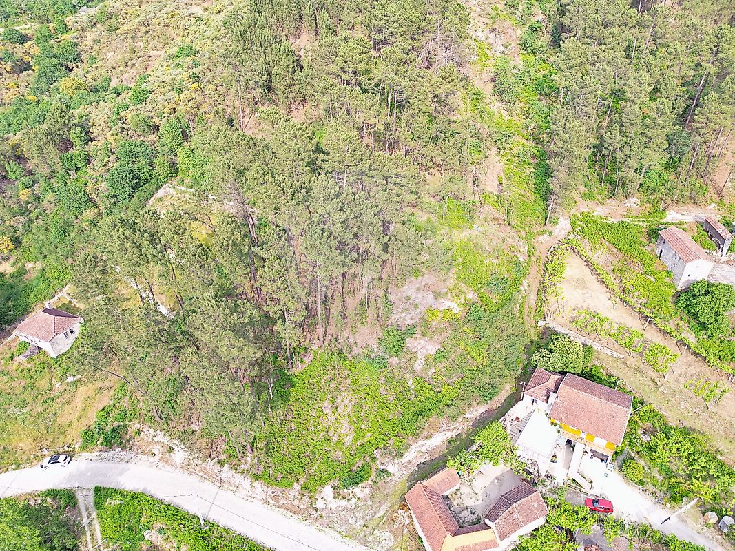 Terreno à venda em Amarante