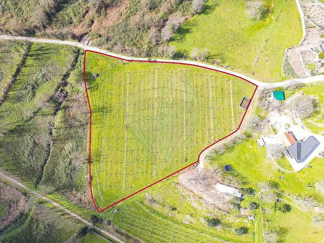 Terreno para venda