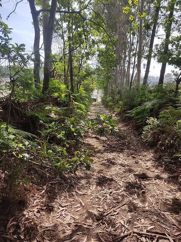 Terreno  à venda em Paços de Ferreira