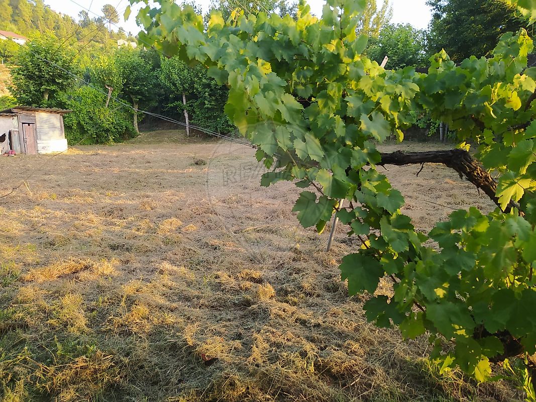 Terreno para venda