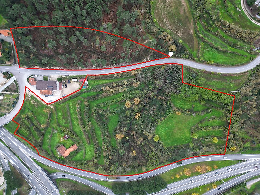 Quinta - Fregim, Amarante, Porto