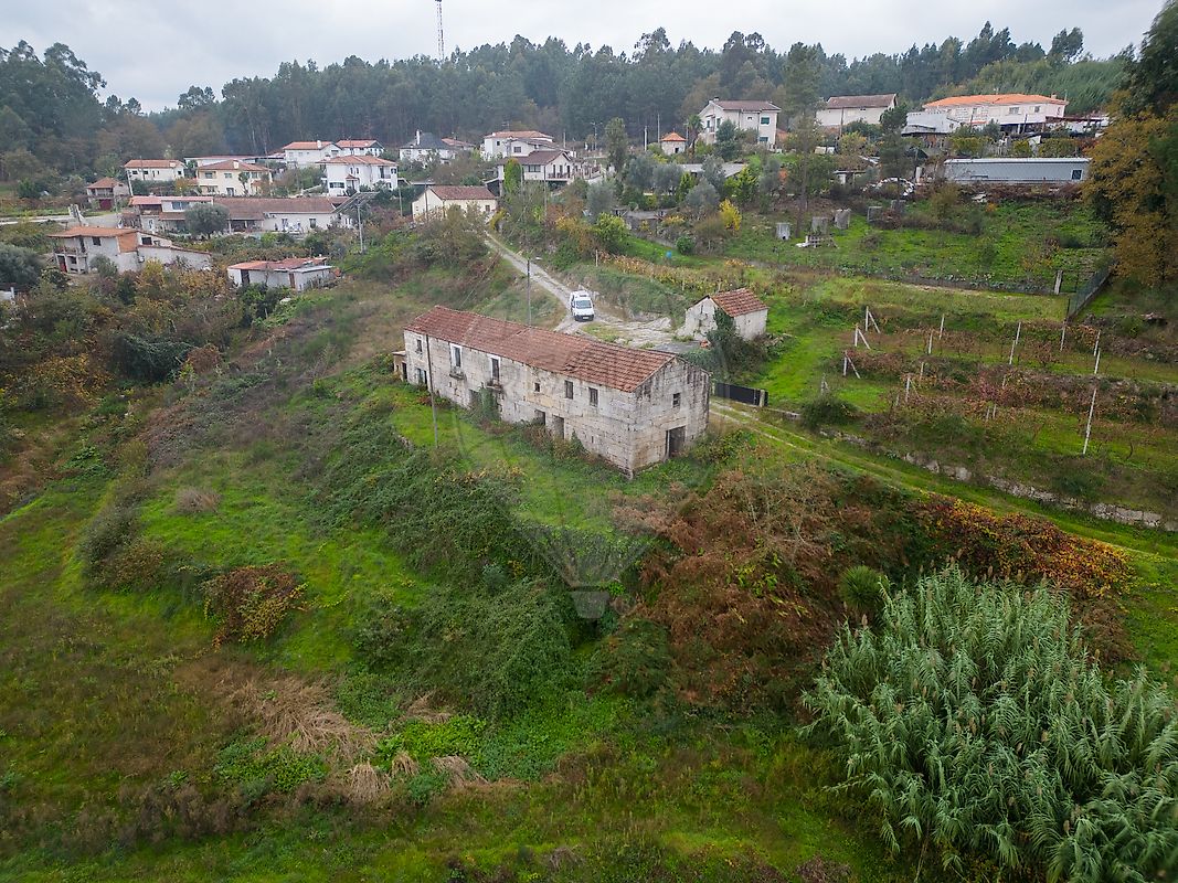 Quinta - Mancelos, Amarante, Porto