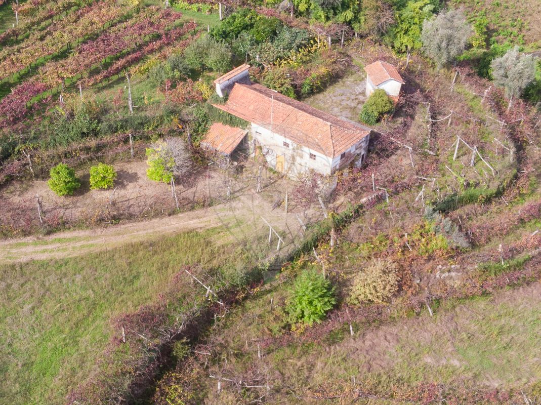 Terreno  para venda