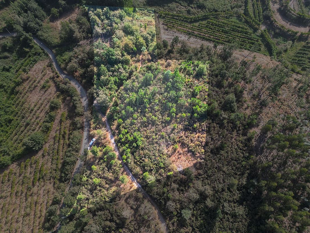 Terreno para venda