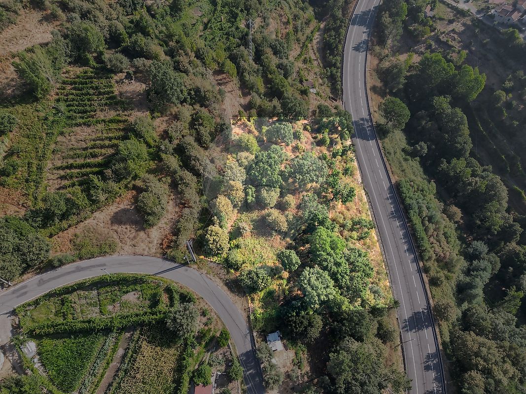 Terreno para venda