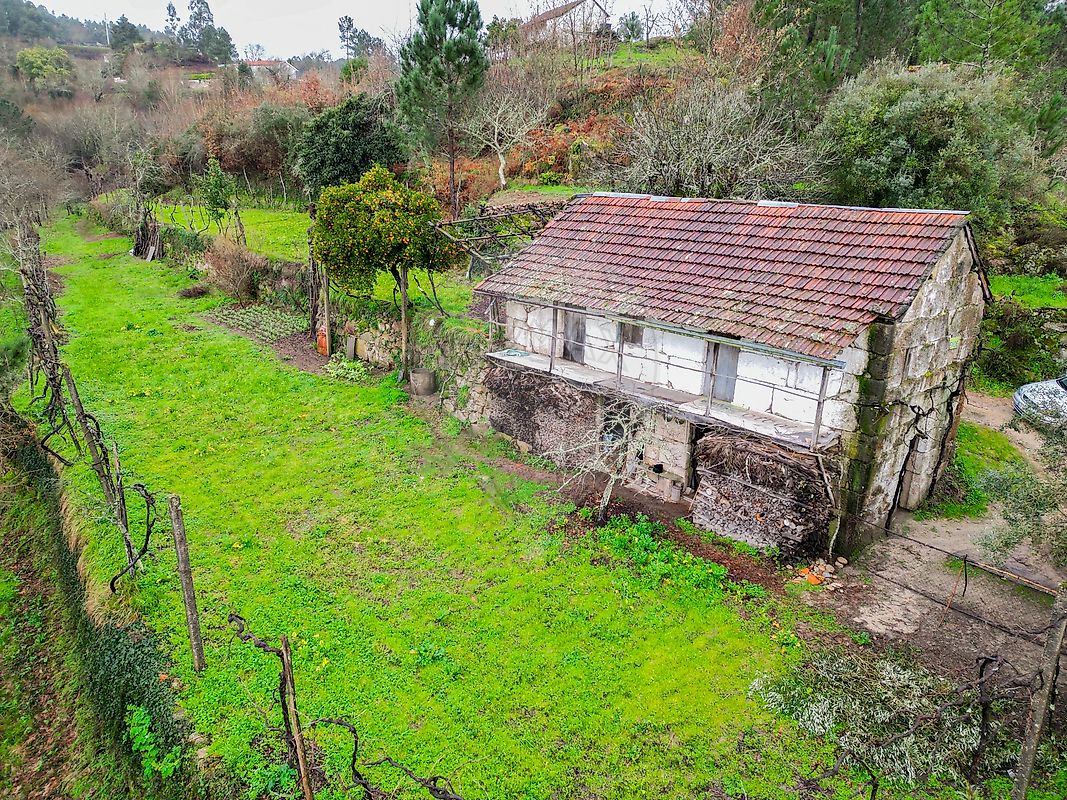 Quinta - Mancelos, Amarante, Porto
