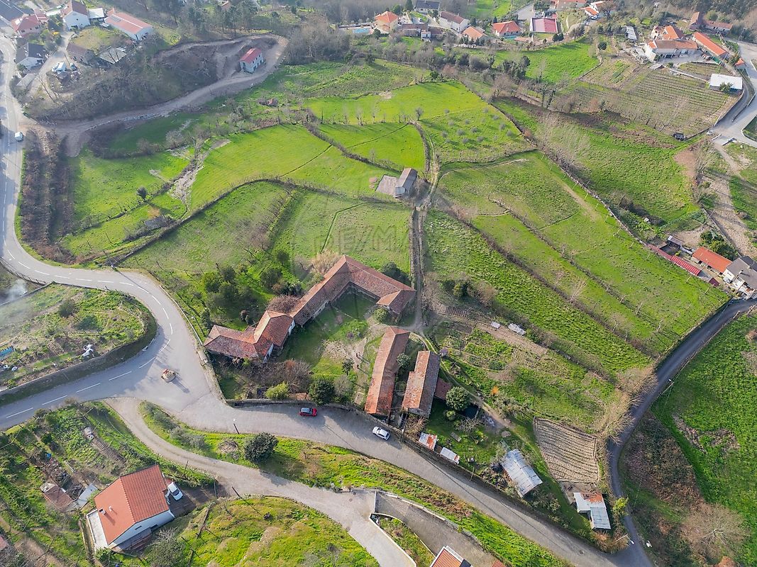 Quinta - Jazente, Amarante, Porto