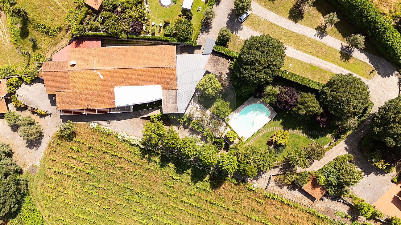 Quinta - Gondar, Amarante, Porto