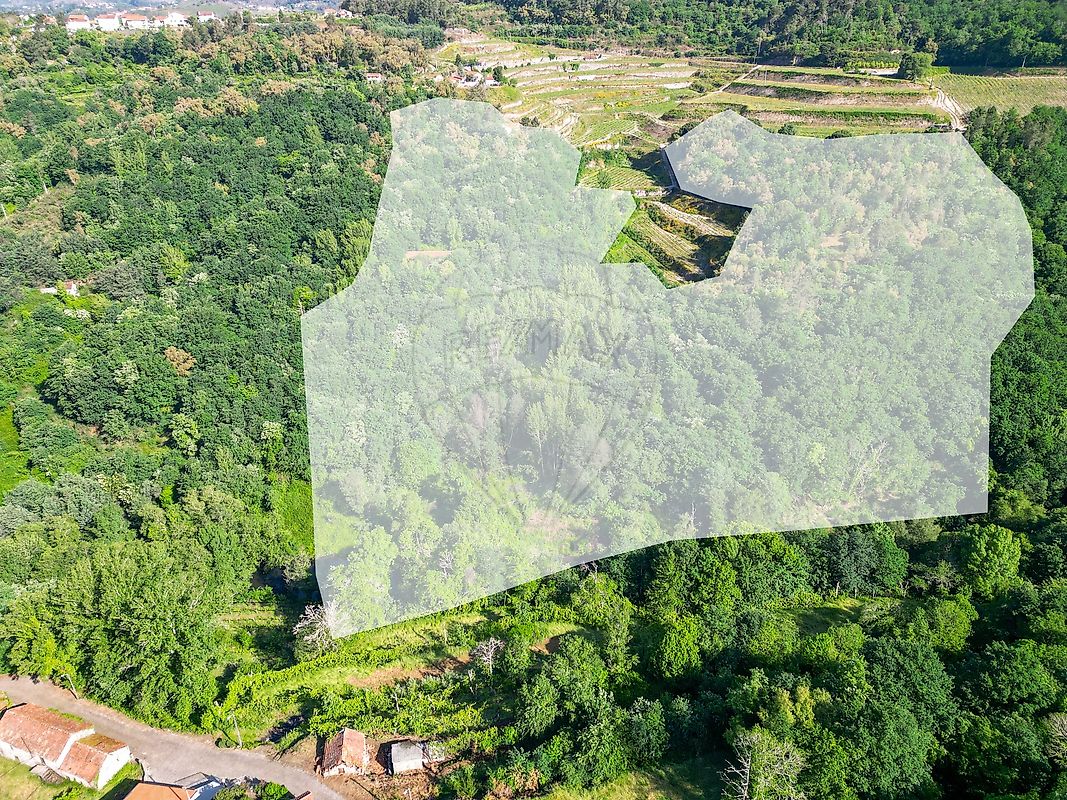 Terreno - Fridão, Amarante, Porto