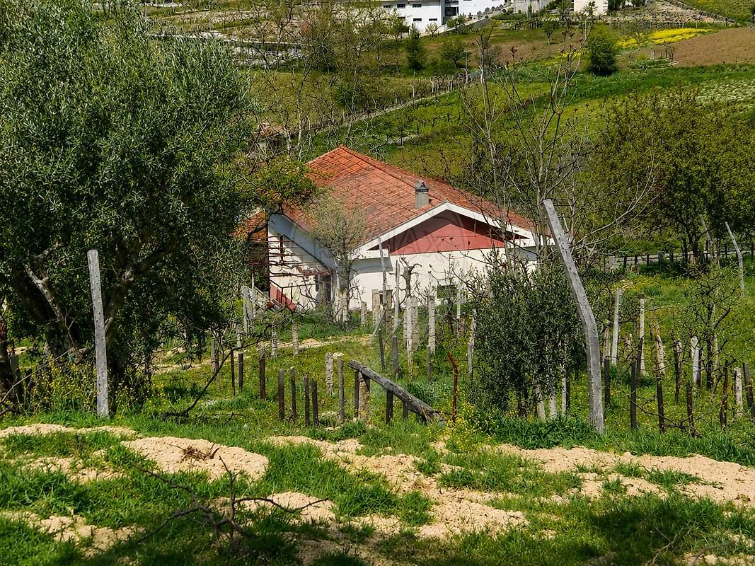Moradia T4 à venda em Vidago (Vidago, Arcossó, Selhariz e Vilarinho das Paranheiras), Chaves — foto 22