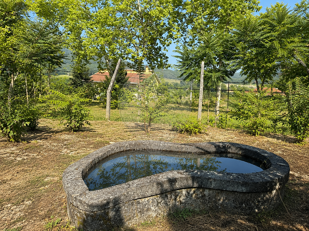 Moradia T4 à venda em Vidago (Vidago, Arcossó, Selhariz e Vilarinho das Paranheiras), Chaves — foto 15