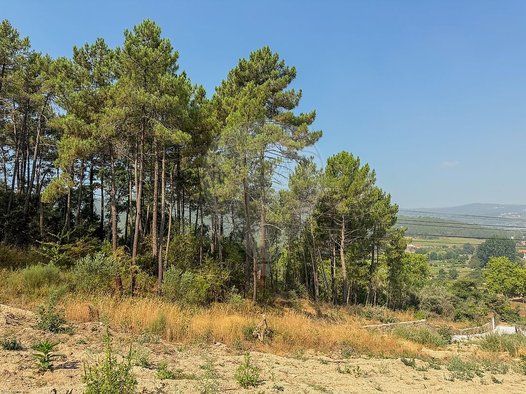 Moradia T4 à venda em Vidago (Vidago, Arcossó, Selhariz e Vilarinho das Paranheiras), Chaves — foto 19