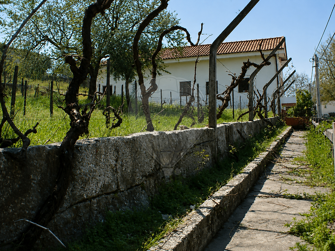 Moradia T4 à venda em Vidago (Vidago, Arcossó, Selhariz e Vilarinho das Paranheiras), Chaves — foto 21