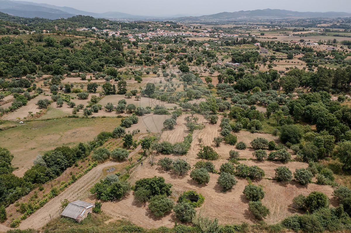 Terreno à venda em Fundão