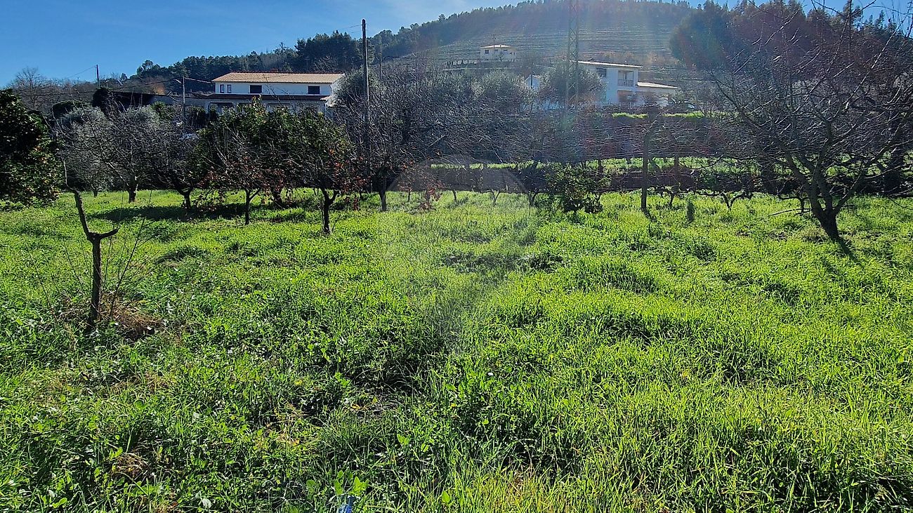 Moradia T3 à venda em Fundão, Valverde, donas, Aldeia de Joanes e Aldeia Nova do Cabo, Fundão — foto 13