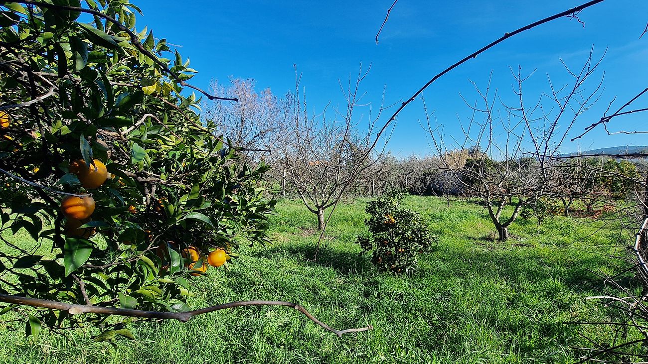 Moradia T3 à venda em Fundão, Valverde, donas, Aldeia de Joanes e Aldeia Nova do Cabo, Fundão — foto 12