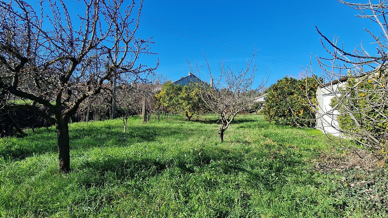 Moradia T3 à venda em Fundão, Valverde, donas, Aldeia de Joanes e Aldeia Nova do Cabo, Fundão — foto 18