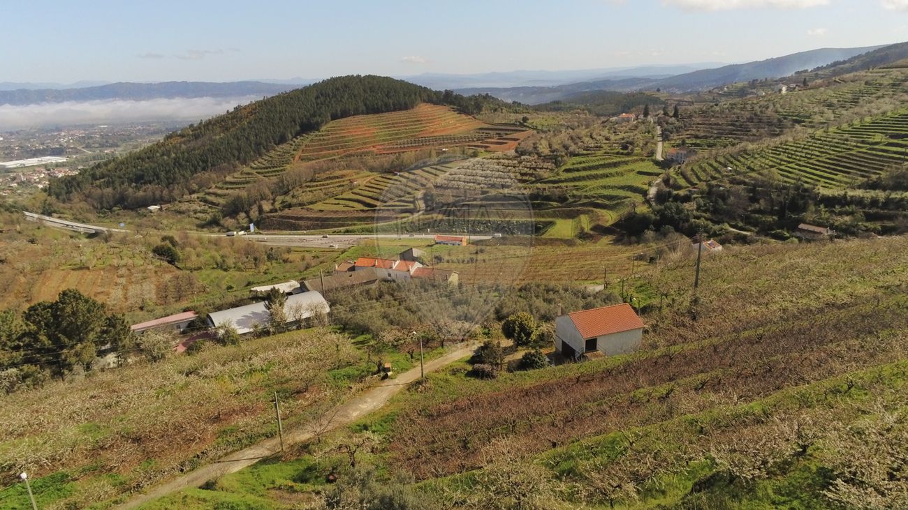 Quinta para venda