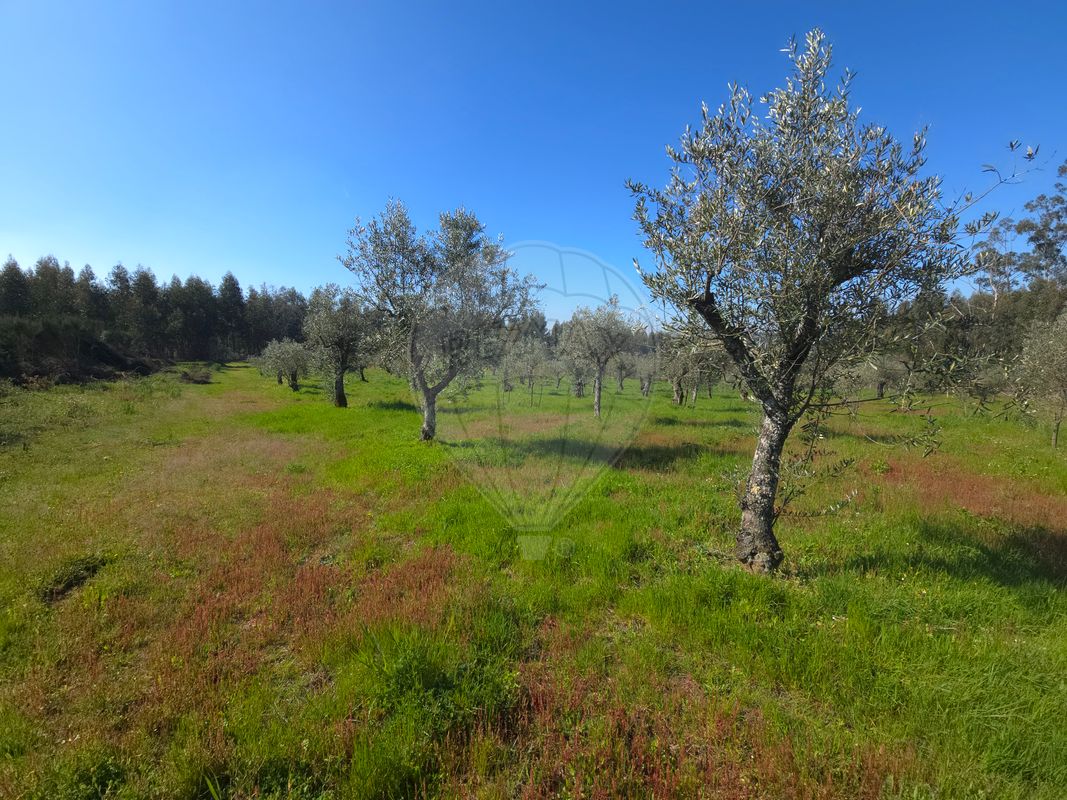 Terreno para venda