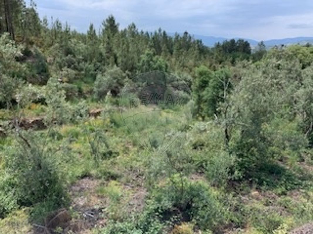 Terreno para venda