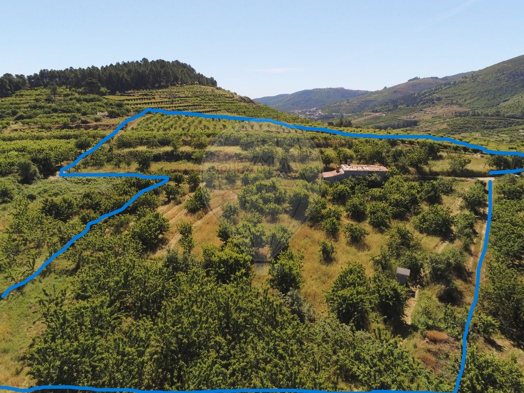 Terreno para venda