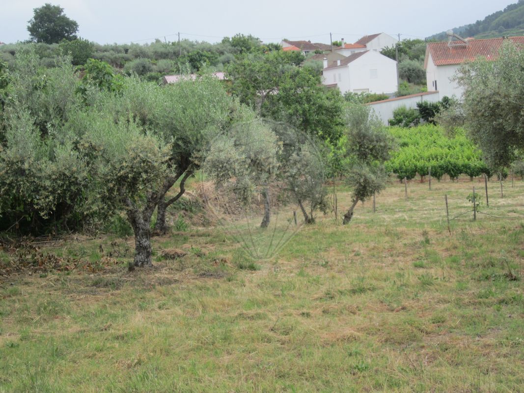 Terreno para venda