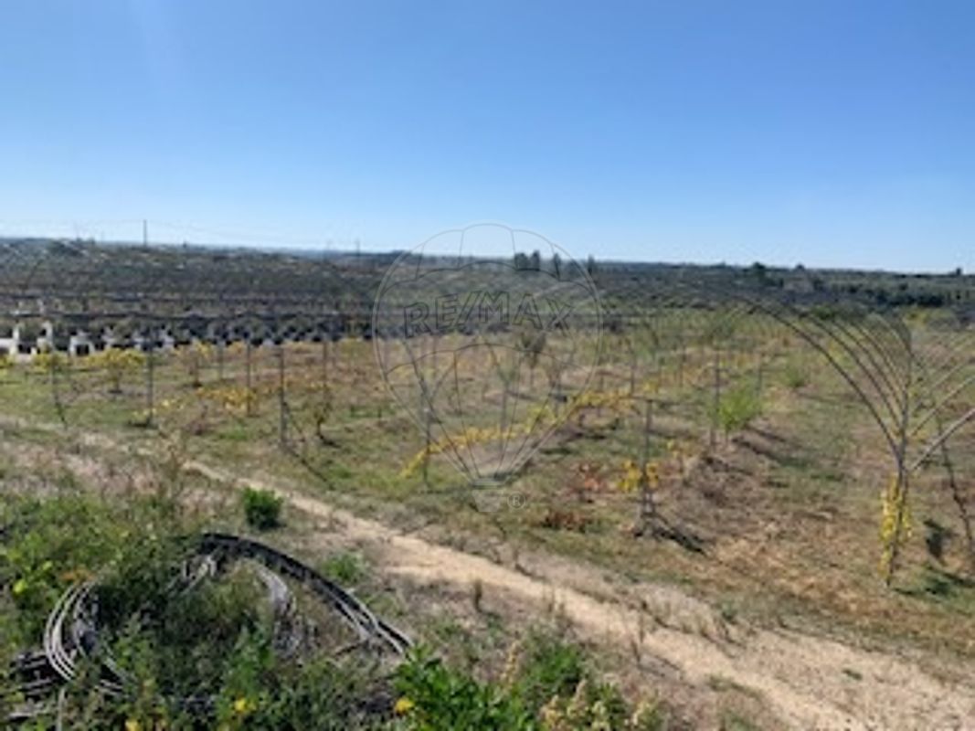 Terreno para venda