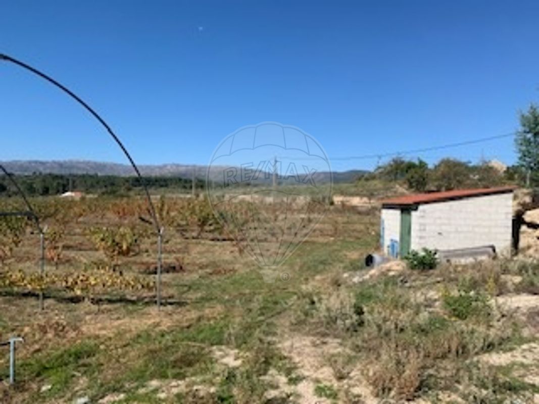 TODO